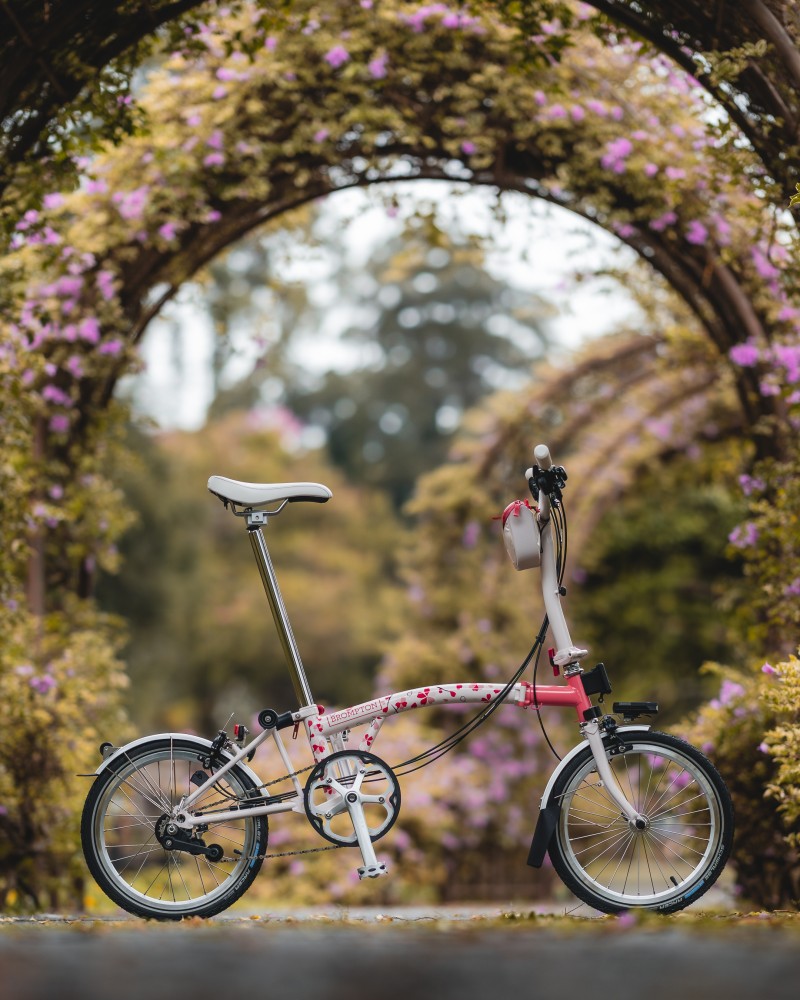 BROMPTON 推出亚太地区限定款?；ǚ?绽放属于她的骑迹2.jpg
